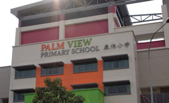 Palm View Primary School Saniton