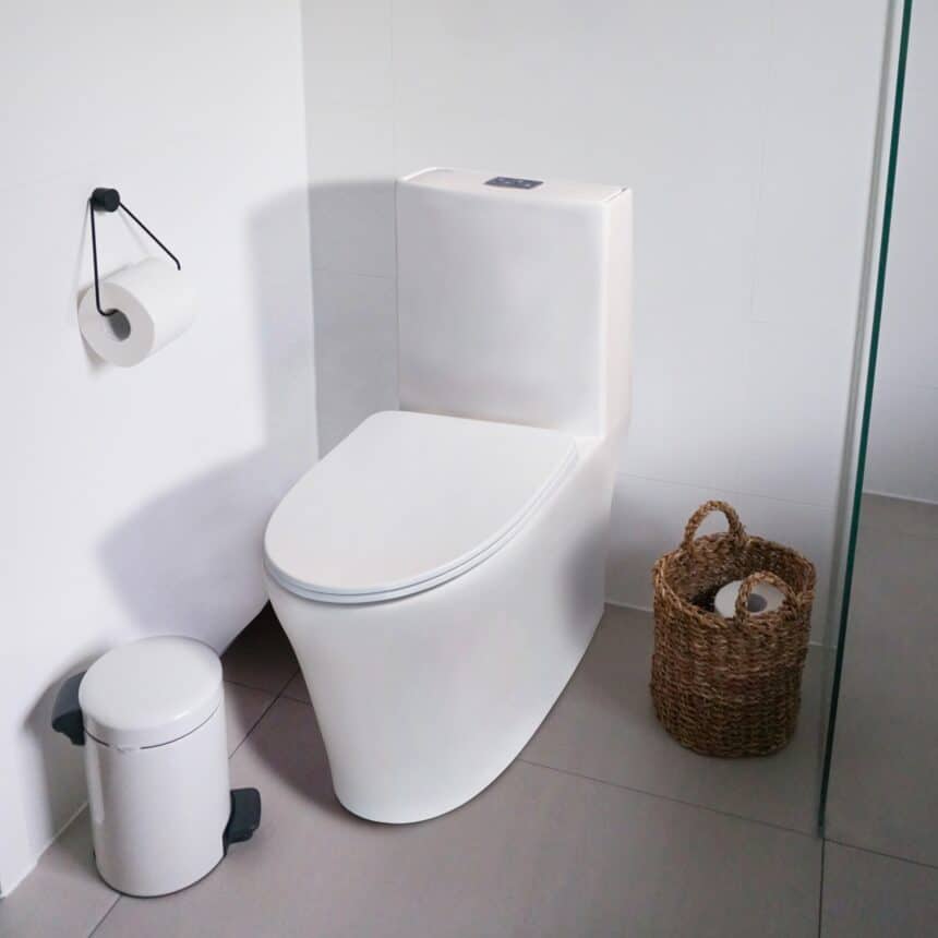 Navigating Your Choices: What Are the Different Types of Toilet Bowls?
